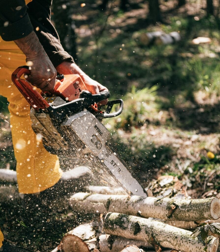advanced-tree-maintenance-skilled-professionals-nyc