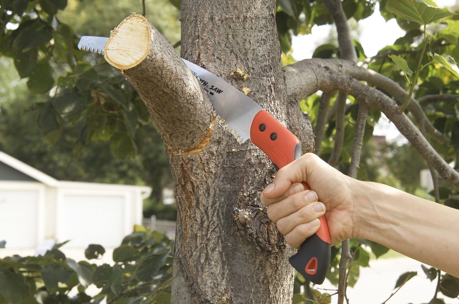 tree topping