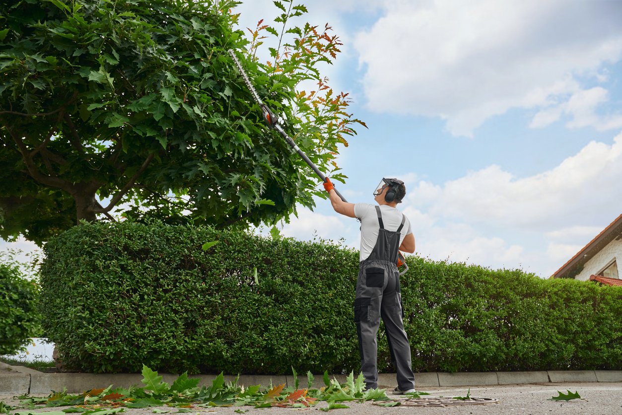 Preventive Tree Care